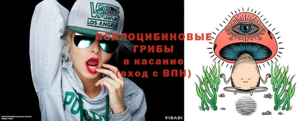 дурь Алексеевка