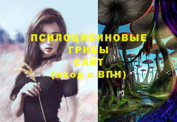 mix Алексин